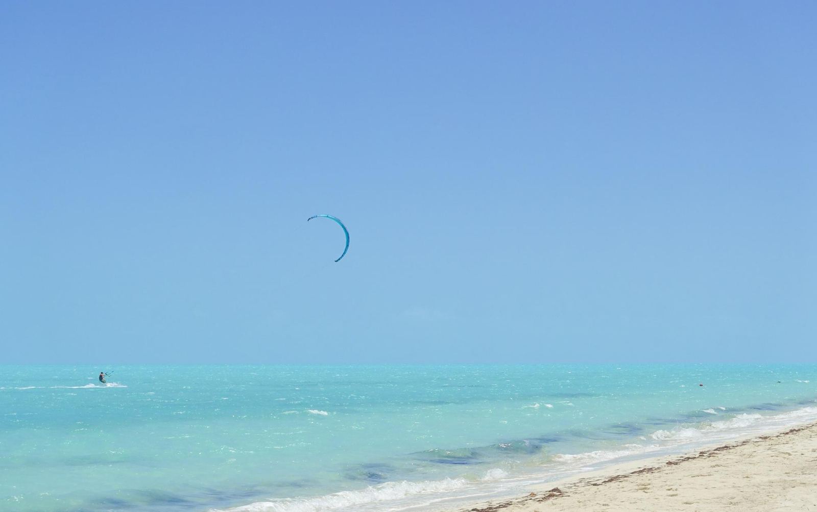 A kite over the shallows along Long Bay